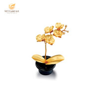 Chậu Lan Hồ Điệp 1 cành dát vàng (ko mika) – H=13cm