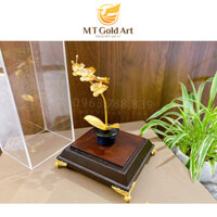 Chậu Lan Hồ Điệp 1 cành dát vàng (có đế và mika)