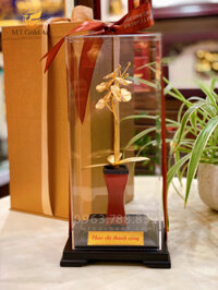 Chậu Lan Hồ Điệp 1 cành dát vàng (14x12x26cm)