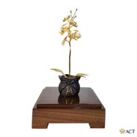 CHẬU LAN HỒ ĐIỆP 1 CÀNH-quà tặng vợ, quà tặng bạn gái, quà 20/10, quà 8/3, quà valentine,...