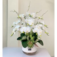 Chậu lan hồ điệp 10 cành (loại 5 bông/cành) - Bình hoa cắm sẵn trang trí phòng khách, đôn kệ - Tiệm Hoa Lụa Nhà Vy