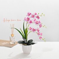 Chậu Lan Hồ Điệp Bằng Vải Lụa Chậu Nhựa Chắc Chắn Trang Trí Bàn Làm Việc, Bàn học, bàn Trà, Kệ Tủ Sang Trọng