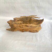 Chậu Lũa Vét Trồng Ghép Lan, Trồng Bonsai, Trồng Sen Đá...