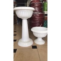 Chậu ly đế lùn kích thước 45cm x 36cm trắng tinh loại 1