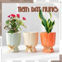 Chậu Ly Hoa Sứ Men Pastel Sứ Bát Tràng Trồng Sen Đá, Xương Rồng, Cây Bonsai