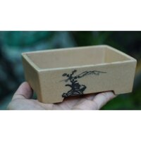 Chậu maruto cát vàng vẽ cảnh