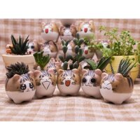 Chậu Mèo Con Mini - Chậu trồng cây sen đá xương rồng kiểng lá bonsai - Green the Garden