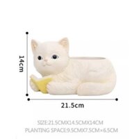 Chậu mèo trồng cây. mèo lớn đọc sách ,trang trí bàn,hàng bao bể.