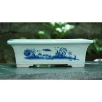 Chậu nhật bản maruto ( lỗi nhẹ ở đáy)