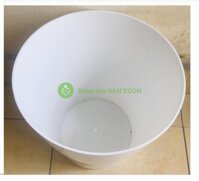 Chậu Nhựa CDT Plastic TD 250 Sản Xuất Tại Việt Nam