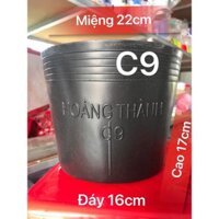 Chậu nhựa, chậu trồng cây, chậu ươm cây giống, combo 50-100 chậu đen dày c9 (22cm x 17cm x 16cm)