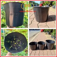 Chậu nhựa đen dẻo C12 32x27cm trồng cây hoa Tết combo 50 cái Minh Hân Garden