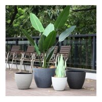 Chậu Nhựa Floral DX6 ( size to) dùng để trồng cây cảnh