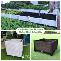 Chậu Nhựa Lắp Ghép Thông Minh Trồng Cây