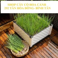 Chậu nhựa lắp ráp THT, nhiều kích thước lựa chọn trồng hoa hồng, cây leo, rau, củ, quả, độ bền 5 năm