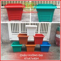 Chậu nhựa to đại trồng cây cảnh, cây ăn trái, trồng sen súng đều rất thích hợp.