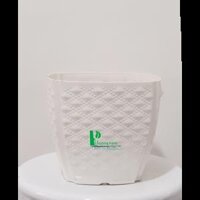 Chậu nhựa trắng 16x11x14 cm