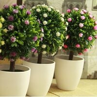 Chậu nhựa tròn hoa sao