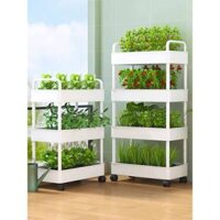 Chậu Nhựa Trồng Cây Di Động Chậu Trồng Rau Nhiều Tầng Có Bánh Xe Kệ Trồng Cây Ban Công Kệ Trồng Rau Thông Minh K004