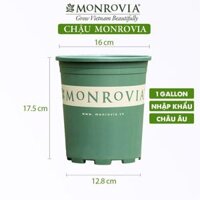Chậu nhựa trồng cây MONROVIA để bàn, treo ban công, treo tường, ngoài trời, sân vườn, tiêu chuẩn Châu Âu - Chậu 1 gl xanh