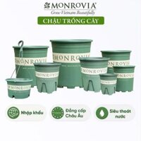 Chậu nhựa trồng cây MONROVIA để bàn, treo ban công, treo tường, ngoài trời, sân vườn, tiêu chuẩn Châu Âu - Chậu 3 gl xanh
