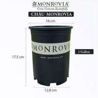 Chậu nhựa trồng cây MONROVIA để bàn, treo ban công, treo tường, ngoài trời, sân vườn, tiêu chuẩn Châu Âu - Chậu 1 gl đen