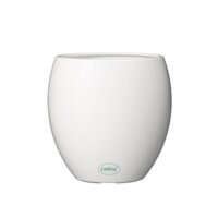 Chậu Nhựa Trồng Cây Thông Minh CATLEZA Sơn Oval Không Ống Thăm Dò 22x22x22 cm