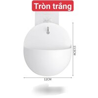 Chậu Nhựa Trồng Cây Treo Tường MiNi Tặng Kèm Móc Dán - trắng tròn