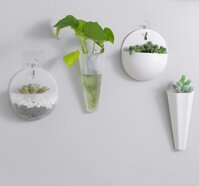 Chậu nhựa trồng cây treo tường trong nhà (4 mẫu)