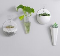 Chậu Nhựa Trồng Cây Treo Tường Trong Nhà (4 Mẫu)