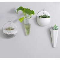 Chậu nhựa trồng cây treo tường trong nhà