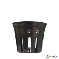 CHẬU NHỰA TRỒNG LAN 12cm