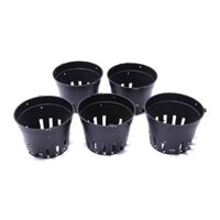 Chậu nhựa trồng lan f12 ( 100 chậu)