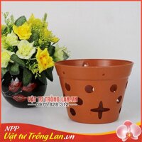 Chậu nhựa trồng lan giả đất phi 17cm