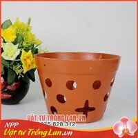 Chậu nhựa trồng lan phi 20 cm