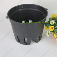Chậu nhựa trồng lan phi 21 cm màu đen