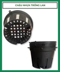 Chậu nhựa trồng lan