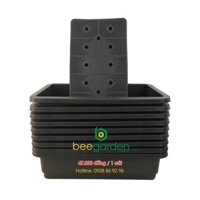 Chậu nhựa trồng rau combo 5 chậu KT: Dài 65 rộng 42 cao 16