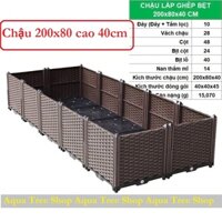 Chậu nhựa trồng rau lắp ghép 200x80cm cao 40cm, chậu nhựa trồng cây trồng rau cỡ lớn