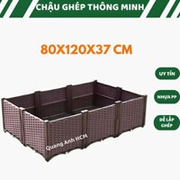 Chậu nhựa trồng rau lắp ráp đơn giản, Chậu ghép trồng rau màu nâu KT 80X120X37cm, 80x120x22 nhựa PP độ bền trên 7 năm