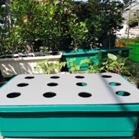 Chậu nhựa trồng rau thuỷ canh tĩnh + 15 rọ