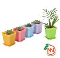 Chậu Nhựa Vuông Mini Kèm Đĩa - Chậu Nhựa Nhiều Màu