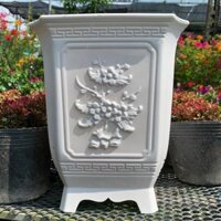 Chậu nhựa Vuông tứ quý trồng cây cảnh size đại 50x48cm