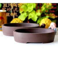 Chậu Ovan - Chậu Bonsai Trung Quốc - Chậu Bonsai Mini