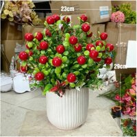 Chậu quả cắm sẵn để bàn cherry đào lựu quất trang trí decor phòng khách, nhà hàng