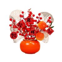 CHẬU QUẤT TRANG TRÍ NGÀY TẾT 2024