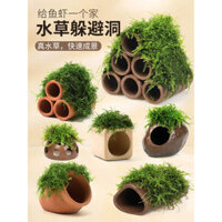 Chậu rêu cho bể cá, cây thủy sinh, cảnh quan thực vật, chậu ẩn náu cho cá tôm, nhà tôm nhỏ, trang trí nhỏ, nhà ẩn náu cho cá nhỏ