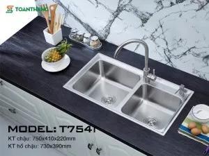 Chậu rửa bát inox 2 hố cân Toàn Thắng T7541