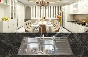 Chậu rửa bát Inox Tân Mỹ TM52