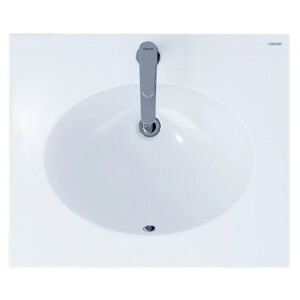 Chậu rửa Caesar L5022